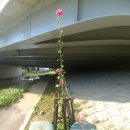 두배로공인중개사사무소 이미지