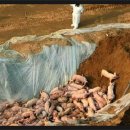 한울축산 이미지