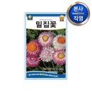 다농플라워
