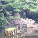 용산역구내식당~국립박물관~용산가족공원 (2024.7.21) 이미지