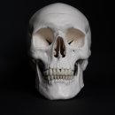 괴정수석치과의원 이미지