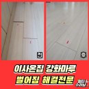 밀림식당 | 경기광주 강화마루 벌어짐 밀림 복원수리 비용