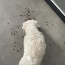 유니독스 이미지