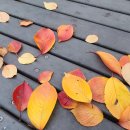 김선경공인중개사사무소 이미지