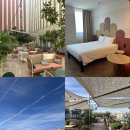 사북초등학교 자전거 정문 옆 | [스페인] 세비야 가성비 호텔 ibis 이비스 스타일(수영장, 조식, 자전거대여)