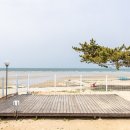 청포대휴야영장 이미지