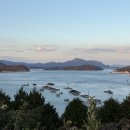 유자향기 이미지