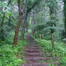 저지오름주차장 이미지