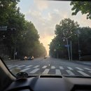 노이짐 | 새로운곳에 뿌리내리기 10월후기