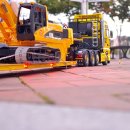 cat 3/4 이미지