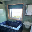 스테이 다옴 이미지