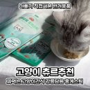 이지메디 | 짜먹는 고양이간식 메디듀오 강릉담음 홍게스틱 고양이츄르추천