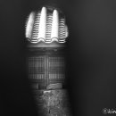 조군현가옥 이미지