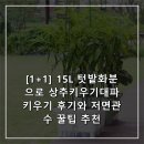 관수농장 | [1+1] 15L 텃밭화분으로 상추키우기대파키우기 후기와 저면관수 꿀팁 추천