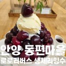 로로러버스 | [경기도/안양]동편마을 브런치카페 로로러버스 체리빙수 내돈내산 후기(위치/주차/내부/메뉴)