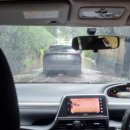 마야세탁소 이미지