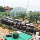 용마 농장 이미지