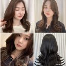 베니스헤어 이미지