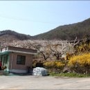 상유 마을회관 이미지