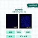 <b>올리브영</b> 파운데이션 TOP 6 비교