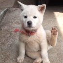 동서프라자 | 다소 냉정한 (수십개의) 빵집 밥집 후기.