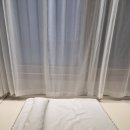 조아펫 | 강아지침대 조아펫 관리하기 쉬운 강아지 매트리스 실사용 후기