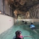 비발디파크오션월드 | 🌊비발디파크 오션월드 홍천 실내외 총정리 후기! 주말 대기팁까지✔