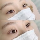 테오트리안양