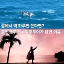 별빛사냥 | 괌여행코스 필수 탕기슨 별빛투어 스타돌핀크루즈 지금괌닷컴