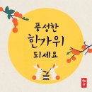 태극안경콘택트(법동점) 이미지