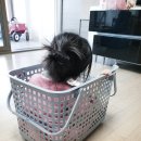 삼익약국 이미지