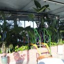 상하그린목장 | 스틸그린베이커리, 대형 카페답게 맛있는 빵과 포토존 가득한 천안베이커리카페