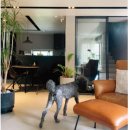 개편한세상 이미지