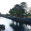 내도알작지 이미지