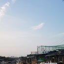 용호동 섶자리 이미지