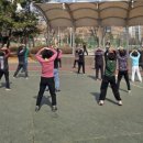 건강체조 이미지