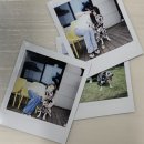 더블스테이 또또멍5호 이미지