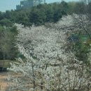 디어맘산후조리원 이미지