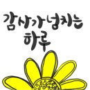 미르투스 이미지