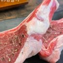 김앤이 네이버블로그