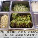 소돈소돈