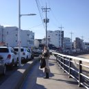 강원수산 | 시장 근처 숙소 SL 호텔 디럭스 트윈 시티뷰 아침 조식 후기 강원수산 포차 조개구이, 치킨 대박 맛집 발견