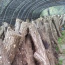 동상주유소 이미지