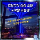 프놈펜 노보텔] 비지니스호텔의 정석 /루프탑 바 야경+ 살사댄스의 조합 , 프놈펜의 밤을 책임집니다!