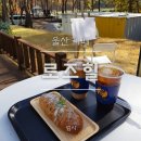 로즈힐모텔 | 울산 울주군 로즈힐카페_ 아이랑 소나무와 대나무 숲에서 그림 그려요