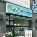 서진 | 대전 관저동 샐러드 샌드위치 신상 맛집 서진샐러드 솔직후기