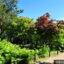 한밭수목원2 이미지