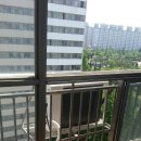 영등부영3 이미지