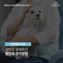 금릉동물의료센터 이미지