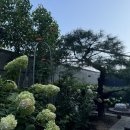 더한샘공인중개사사무소 이미지